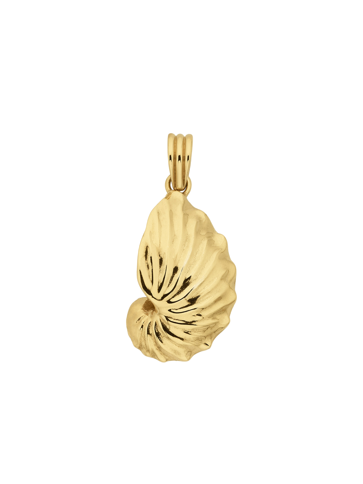 Paper nautilus charm gold